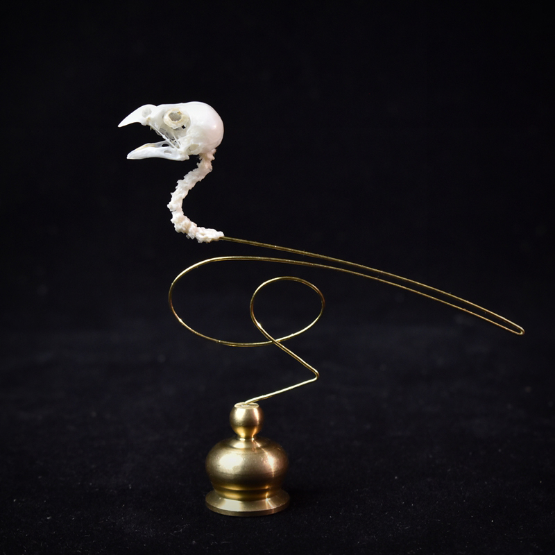 2111 Boutique Ethical Bird Sku - Art Craft Museum ulasan dan harga