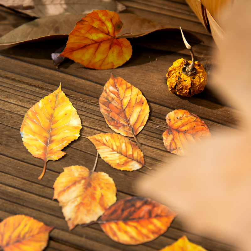 Journal GO 20pcs Golden Autumn - Art And Craft Autumn ulasan dan harga